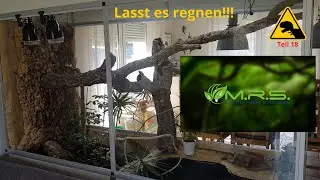 Beregnungsanlage von MRS Micro Rain Systems fürs Terrarium, Leiseläuferpumpe im Vergleich. Teil 18