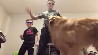 Dancing To I&rsquo;m a pancake￼