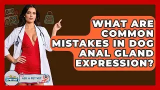 What Are Common Mistakes In Dog Anal Gland Expression? - Ask A Pet Vet