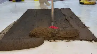 Amazing Red Carpet Cleaning | Flowers, Foam and a Shocking Transformation
