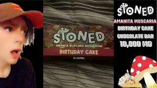 10,000 MG STONED AMANITA MUSCARIA MUSHROOM BIRTHDAY CAKE CHOCOLATE BAR (It it worth it)
