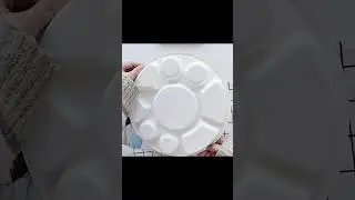 Sugarcane bagasse plates with 9 compartments