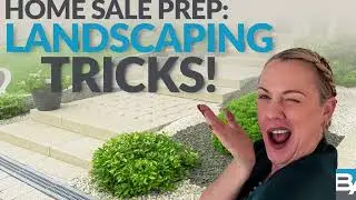 How to redo a yard on a budget - Marin Listing Agent Renee Adelmann shares tips to budget landscape!