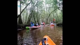Seven Runs Creek