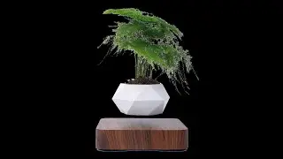 LANGTU Magnetic Levitating Air Bonsai Pot Floating Flower Pot Rotating Potted Planter Walnut