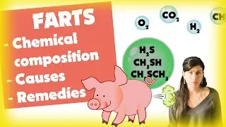🇬🇧 The secrets of farts 🤢 and the Amazing Invention💡to reduce the bad smell