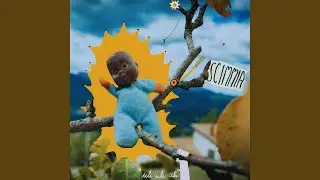Scimmia