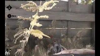 Hunt Showdown