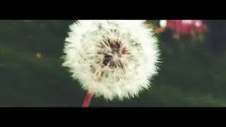 SAGAA OFFICIAL MUSIC VIDEO | PRINCE DAVIDSON