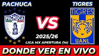 PACHUCA VS TIGRES D&Oacute;NDE VER EN VIVO FECHA HORA HORARIO CUANDO JUEGAN EN VARIOS PA&Iacute;SES