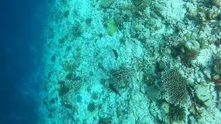 Maldives Scuba 2021