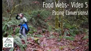 Food Webs Video 5