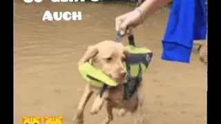 Hochwasser an der Lahn ❗🌧️🌬️ die Lahn-Ufer sind &uuml;berschwemmt, Klima 2020