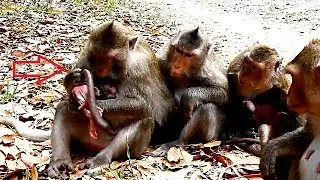 Unbelievable Gladis Show The Way To Check Stool Her Baby George | All MotherPay Attention to Learn