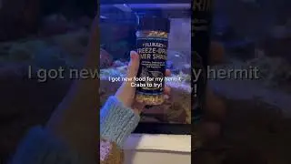 New hermie food!!! (B) #hermitcrab #pets #food #hermit #crab #care #pets