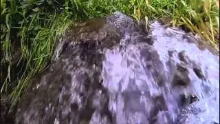 GoPro Hero 3 Black Edition: Nature Slow Motion Test