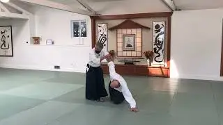 2022 Friendship Seminar with Wendy Palmer Shihan and Hiroshi Ikeda Shihan