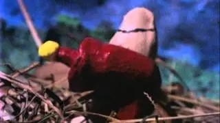 Earthworm Gym