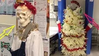 31+ Weird And Funny Hospital Christmas Decorations