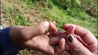 🟢💚🌱part 2 vlog ceria di bukit Hamas ✨