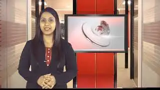 HCN PRIME NEWS | 1ST NOVEMBER 2019