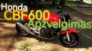 Honda CBF600 apžvalga