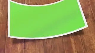 (PHOTO PRINT )GREEN SCREEN VIDEO