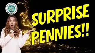 Dollar General Surprise Pennies 11/11/25