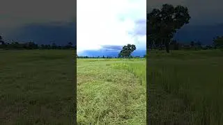 Beautiful rural landscape   #nature #shortsviral #shortvideos