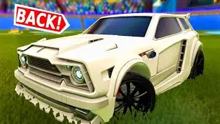 TITANIUM WHITE FENNEC IS BACK... AGAIN