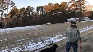 Boomerang throw, return & catch&hellip; like a pro.