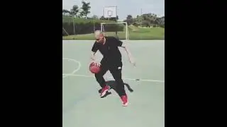 Predella jogando basquete 