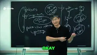 Steppe Warriors: How They Conquered Civilizations! | Jiang Xueqin Predictive History Clips