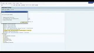 SAP  how to Display T-Code in SAP menu