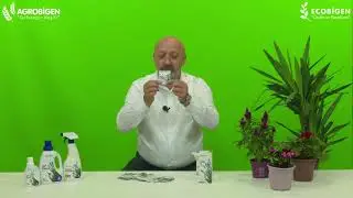 GENEL KULLANIM İ&Ccedil;İN BİTKİ BESİNİ