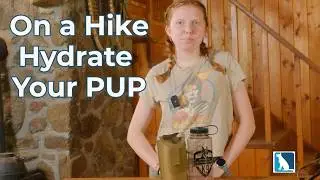 The Best Water Bottle Holder for Dogs & Handlers