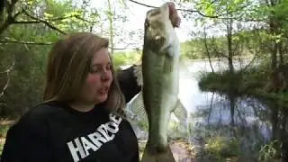 Strike King Rage Menace As A  Topwater Lure