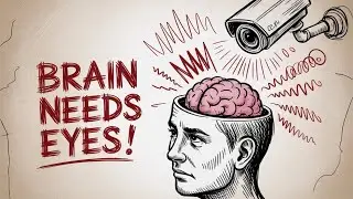 5 Signs Your Brain Only Works When Observed 😮