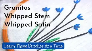 Learn Hand Embroidery Stitches - Granitos, Whipped Stem Stitch, and Whipped Satin Stitch