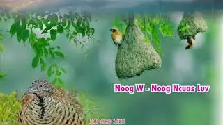 Dab Neeg (34) - Txaus Siab rau Yam Yus Muaj 15/01/2026