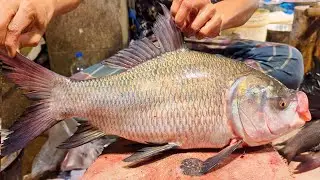 Incredible Giant Black Catla Carp Fish Cutting...