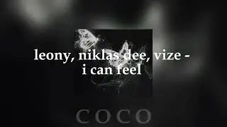 leony, niklas dee, vize - i can feel (slowed) ❀