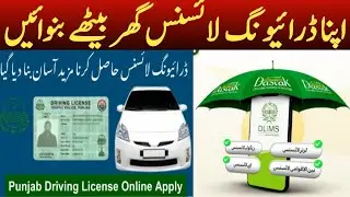 Punjab Driving License Application Details 2025 |Driving License News For Public |Updated 5 Year Fee
