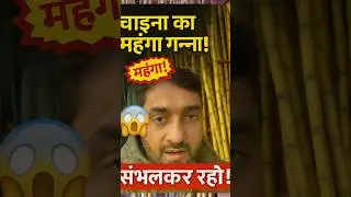 China vs India: गन्ने का रेट सुनकर झटका लगेगा 😱#china #chinatraveller