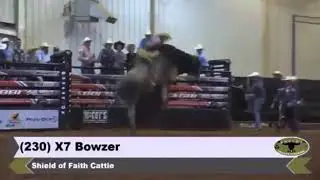 X7 Omnious, own son of World Champion Bruiser!