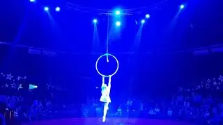 Modern Aerial Ring Veronica Mereuta #aerialtricks #circus #billieeilish #badguy #show #flying