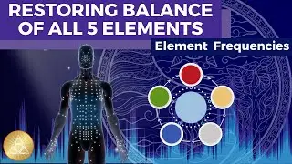 5 Element Frequency Treatment || Find Your Own Rhythm &bull; Live In Harmony With The 5 Elements