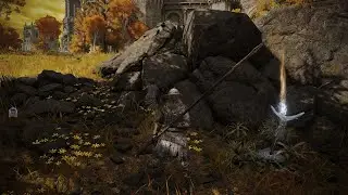 Elden Ring, Old Soldier of Godrick Fights Draconic Tree Sentinal