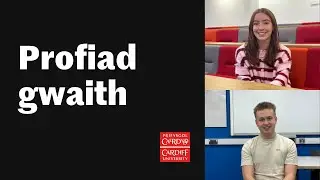 Profiad gwaith | Work experience