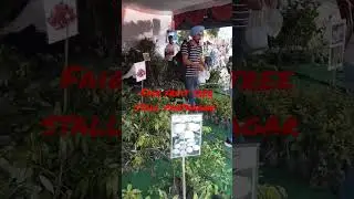 FAIR FRUIT STALL PANTNAGER